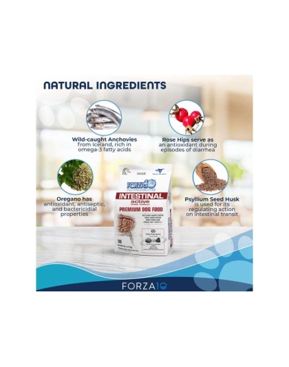 Forza10 Active Intestinal Support Diet Dry Dog Food - 6-lb bag