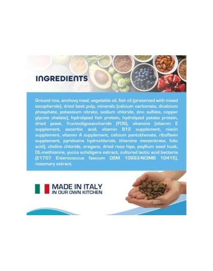 Forza10 Active Intestinal Support Diet Dry Dog Food - 6-lb bag