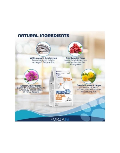 Forza10 Active Kidney Renal Support Diet Dry Dog Food - 8.8-lb bag