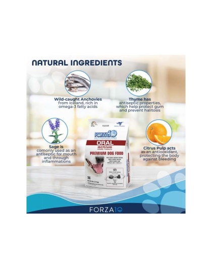 Forza10 Active Oral Support Diet Dry Dog Food - 6-lb bag