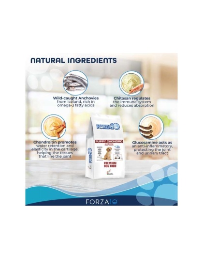 Forza10 Active Puppy Chondro Diet Dry Dog Food - 8.8-lb bag