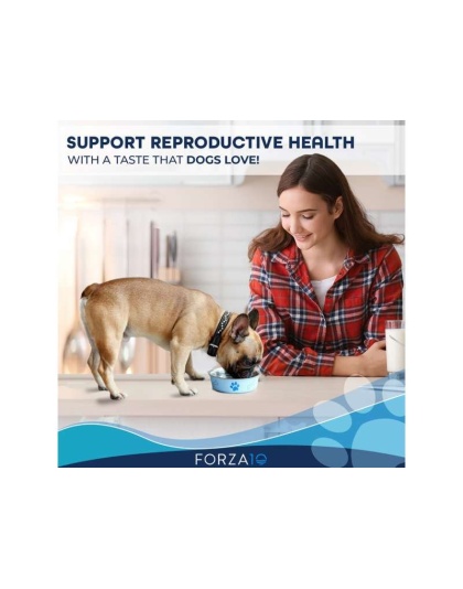 Forza10 Active Reproductive Female Diet Dry Dog Food - 18-lb bag