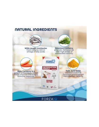 Forza10 Active Reproductive Female Diet Dry Dog Food - 18-lb bag