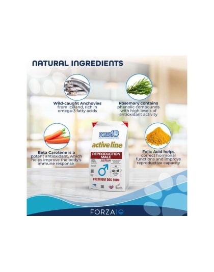 Forza10 Active Reproductive Male Diet Dry Dog Food - 18-lb bag