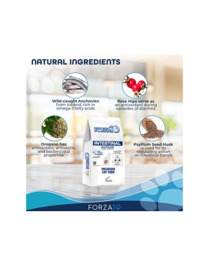 Forza10 Active Intestinal Support Diet Dry Cat Food - 4-lb bag