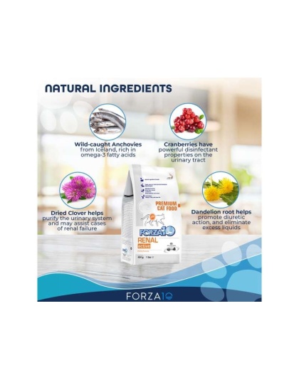 Forza10 Active Kidney Renal Support Diet Dry Cat Food - 1-lb bag