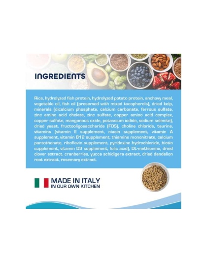 Forza10 Active Kidney Renal Support Diet Dry Cat Food - 1-lb bag