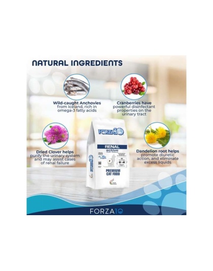 Forza10 Active Kidney Renal Support Diet Dry Cat Food - 4-lb bag