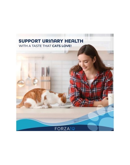 Forza10 Active Urinary Dry Cat Food - 4-lb bag