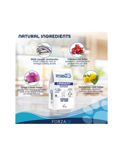 Forza10 Active Urinary Dry Cat Food - 4-lb bag