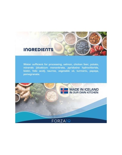 Forza10 ActiWet Dermo Support Icelandic Fish Recipe Canned Cat Food - 3.5-oz