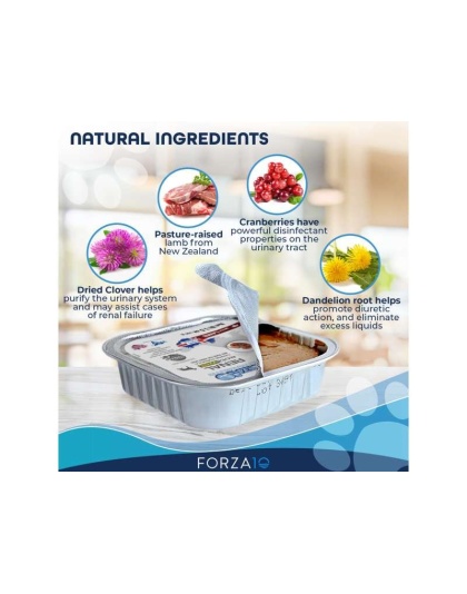 Forza10 Actiwet Renal Support Canned Dog Food - 3.5-oz