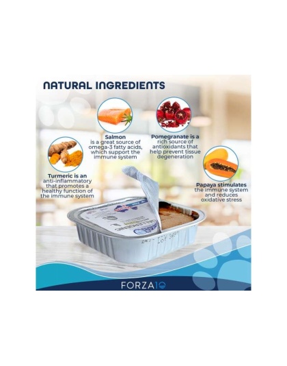 Forza10 Actiwet Hypoallergenic Icelandic Fish Recipe Canned Cat Food - 3.5-oz