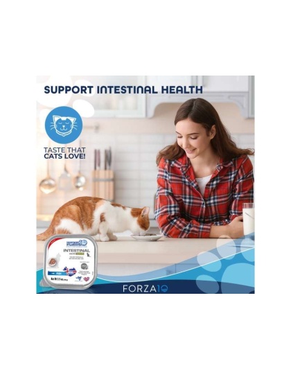 Forza10 Actiwet Intestinal Support Icelandic Fish Recipe Canned Cat Food - 3.5-oz