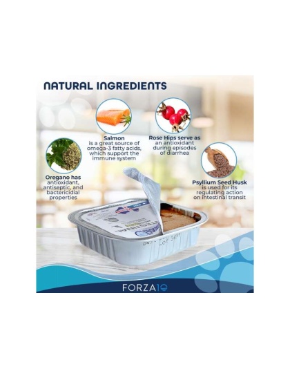 Forza10 Actiwet Intestinal Support Icelandic Fish Recipe Canned Cat Food - 3.5-oz