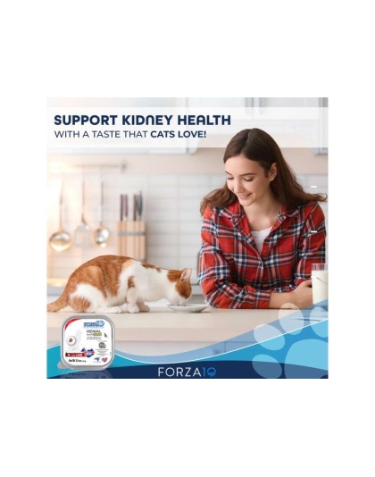 Forza10 Actiwet Renal Support Canned Cat Food - 3.5-oz