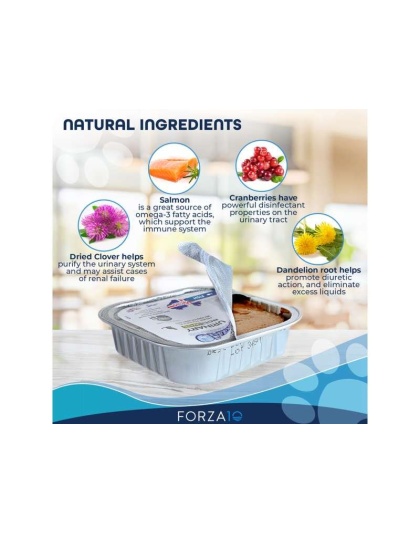 Forza10 Actiwet Urinary Support Icelandic Fish Recipe Canned Cat Food - 3.5-oz