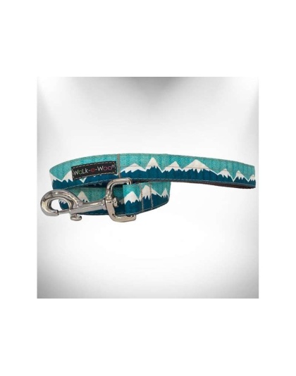 Wintergreen Snowcap Mtn - Mountain Dog Leads  - REGULAR Lead 1" width- 5' length