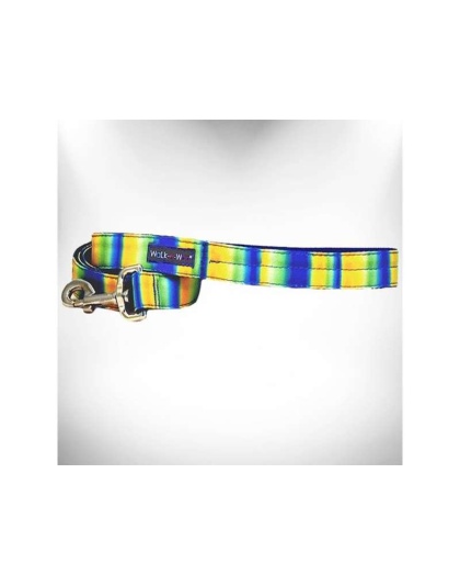 Blue/Green - Tie Dye Dog Leads  - REGULAR Lead 1" width- 5' length