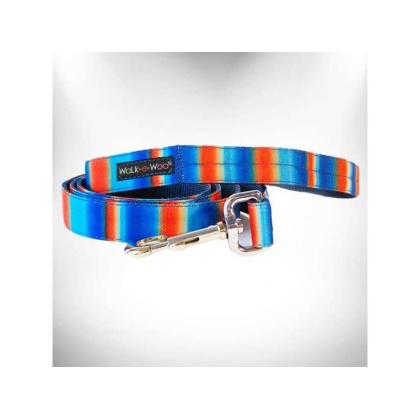 Blue/Orange - Tie Dye Dog Leads  - THIN Lead 5/8" width- 5' length