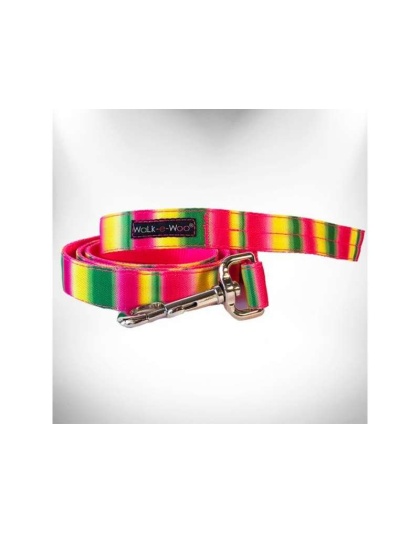 Pink/Green - Tie Dye Dog Leads  - REGULAR Lead 1" width- 5' length