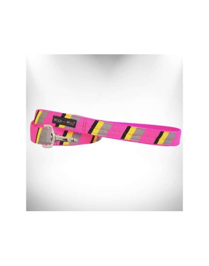 Pink/Grey  - Stripes Dog Leash - THIN 5/8" width- 5' long