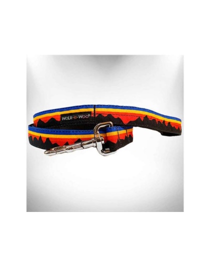 Blue Mountain - Mountain Dog Leads  - REGULAR Lead 1" width- 5' length