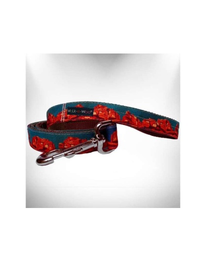 Rockin' Red Rocks - Nature-Lover Leads  - REGULAR Lead 1" width- 5' length