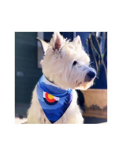 Colorado Mountains - Sport Bandana  - Small
