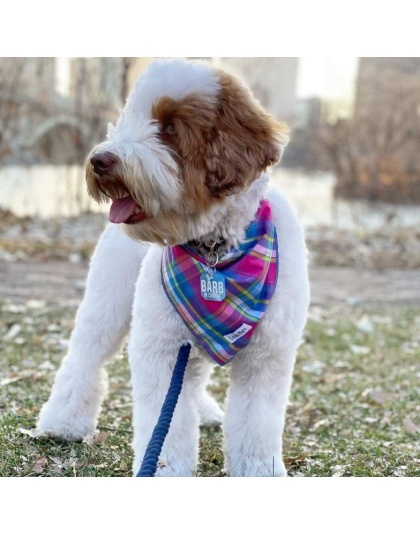 Colorful Plaid - Colorful Plaid Bandana - Large