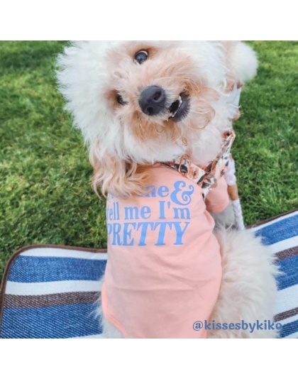 Lemonade - The Essential T-Shirt - Feed Me & Tell Me I'm Pretty - X Large