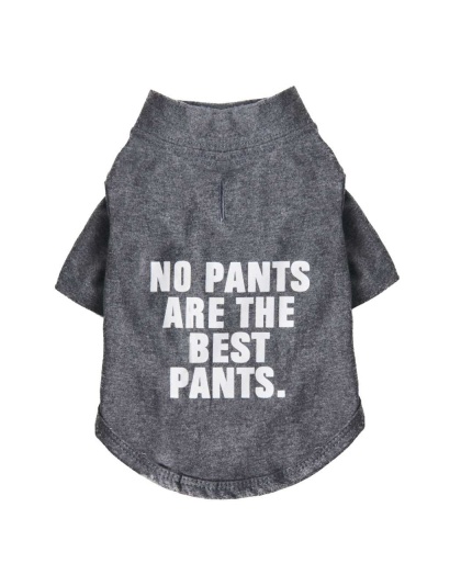 Cool Gray - The Essential T-Shirt - No Pants Are The Best Pants - Medium