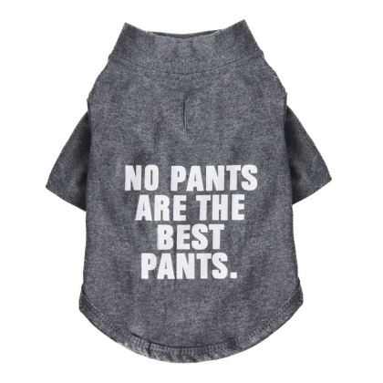 Cool Gray - The Essential T-Shirt - No Pants Are The Best Pants - XX Large
