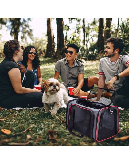 Grey / Red - GOOPAWS Soft-Sided Kennel Pet Carrier for Small Dogs, Cats, Puppy, Airline Approved Cat Carriers Dog Carrier Collapsible, Travel Handbag & Car Seat - 17" x 10" x 11.5"