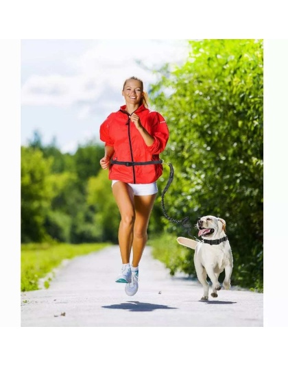 Blue - JESPET Hands Free Dog Leash for Running, Walking, Hiking Jogging for Medium & Large Dogs up to 150lbs, Durable Dual Handle Waist Leash with Reflective Bungee and Adjustable Waist - 1'' x 48''