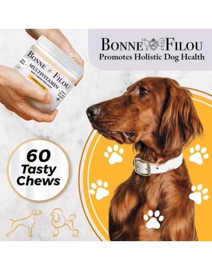 12 in 1 Multivitamin Soft Chews Dog Supplement, 60 count (Cheese flavor)