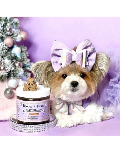 12 in 1 Multivitamin Soft Chews Dog Supplement, 60 count (Cheese flavor)