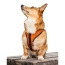 Sunset Orange - K9 Sport Harness - Medium (15-17" Neck 15-21" Chest)