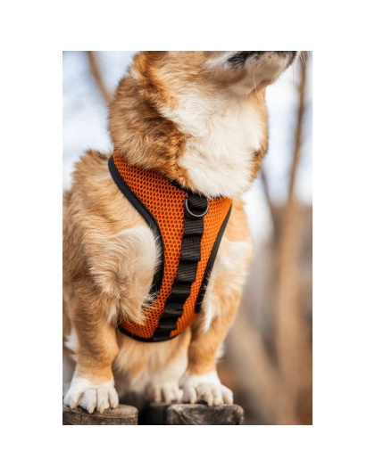Sunset Orange - K9 Sport Harness - Medium (15-17" Neck 15-21" Chest)