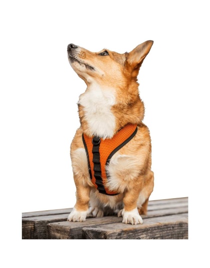 Sunset Orange - K9 Sport Harness - Small (13-15" Neck 13-18" Chest)