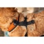 Sunset Orange - K9 Sport Harness - Small (13-15" Neck 13-18" Chest)