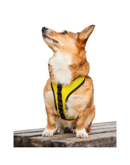 Buttercup Yellow - K9 Sport Harness - X-Small (11-13" Neck 11-15" Chest)