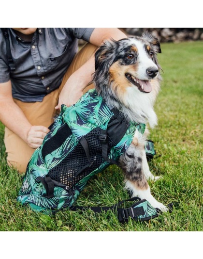 Summer Mint - K9 Sport Sack Air 2 - Large (20"-23" from collar to tail)