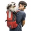 Koral - K9 Sport Sack Trainer - Small (13"-17" from collar to tail)