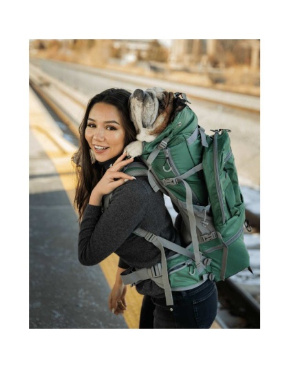 Myrtle Green - Kolossus | Big Dog Carrier & Backpacking Pack - X-Large (23"-26" from collar to tail)