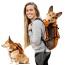 Sunset Orange - Walk-On with Harness & Storage - Large (17-19" Neck 17-24" Chest)