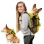 Buttercup Yellow - Walk-On with Harness & Storage - Large (17-19" Neck 17-24" Chest)