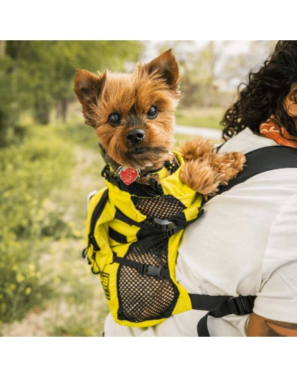 Buttercup Yellow - Walk-On with Harness & Storage - Large (17-19" Neck 17-24" Chest)