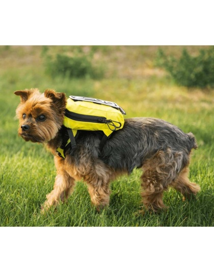 Buttercup Yellow - Walk-On with Harness & Storage - Large (17-19" Neck 17-24" Chest)