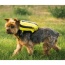 Buttercup Yellow - Walk-On with Harness & Storage - Medium (15-17" Neck 15-21" Chest)